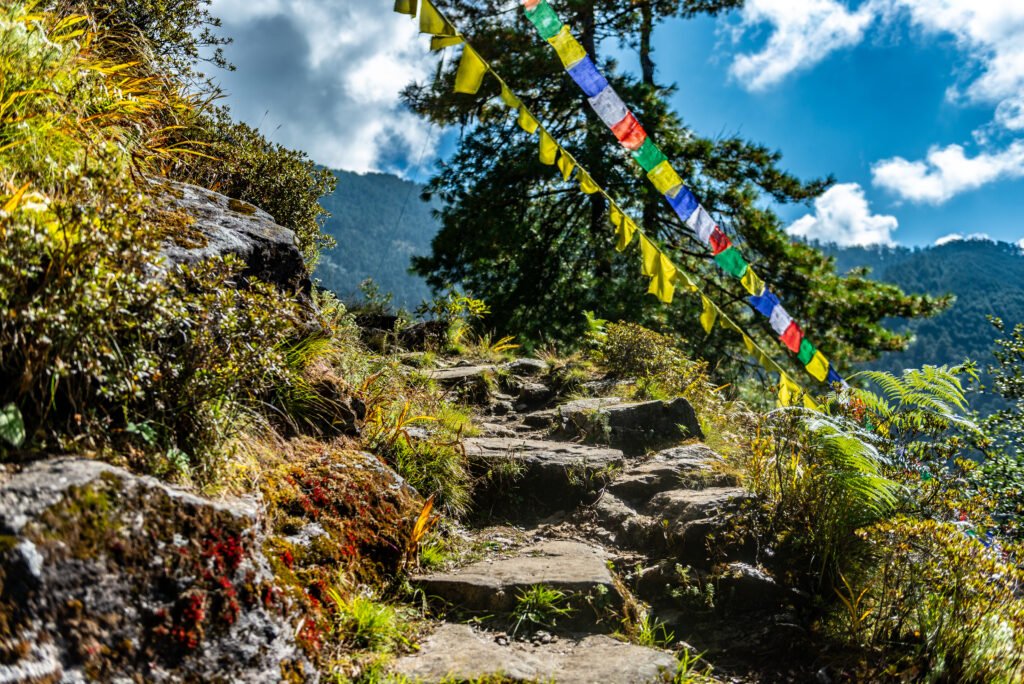 Himalayan foothill hike